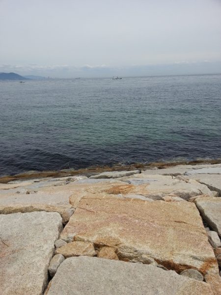 キス釣りのはずが………。