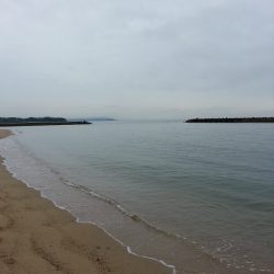 デカギスが2匹！！