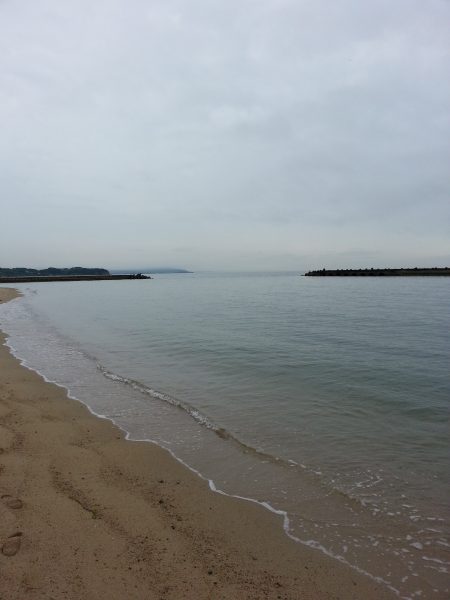 デカギスが2匹！！