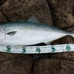 三尾沖磯 ショアジギング