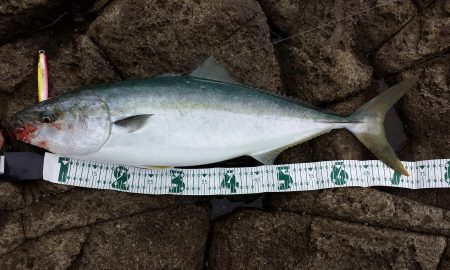 三尾沖磯 ショアジギング