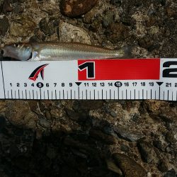 やっと‥…………