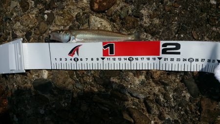 やっと‥…………