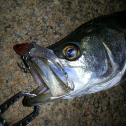 爆風チャレンジ！