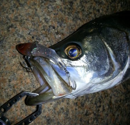 爆風チャレンジ！