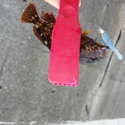 小さいけど楽しいです！！