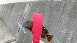 小さいけど楽しいです！！