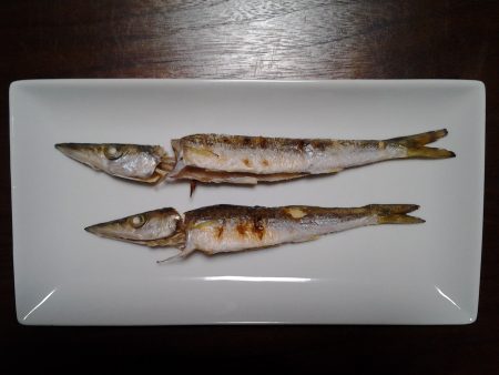 メタルマルでカマス釣り