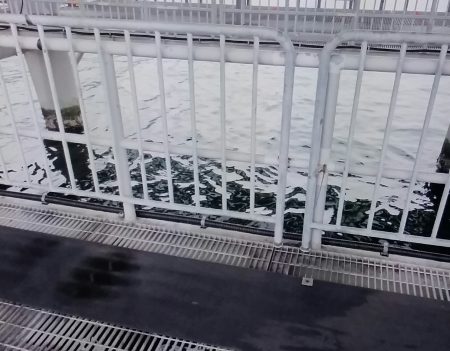 サバが釣れました♪