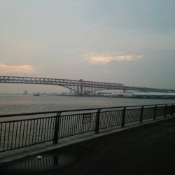 鶴浜緑地 釣り解放区