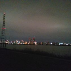 チニングナイト