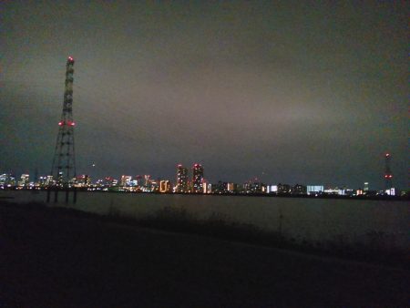 チニングナイト