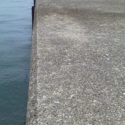 魚おらず・・・21cmガシラ・・・