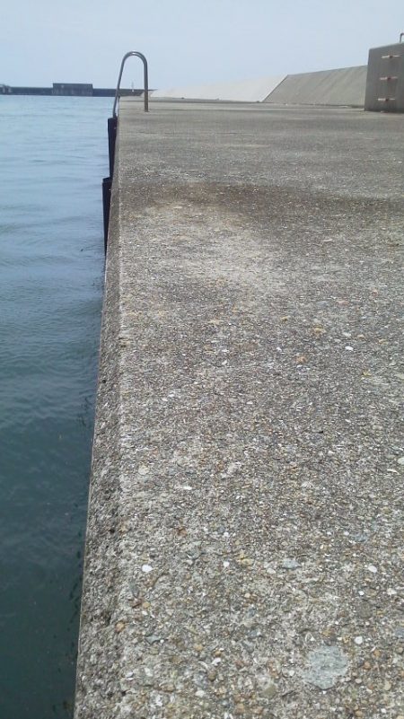 魚おらず・・・21cmガシラ・・・