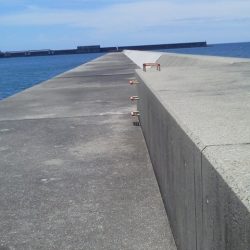 アジ24cm～20cm・・ガシラ・22cm～18cm・・・