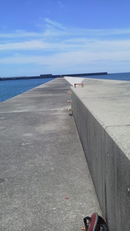 アジ24cm～20cm・・ガシラ・22cm～18cm・・・