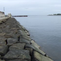 ついばむ様なシーバス58㎝を無理やりゲット