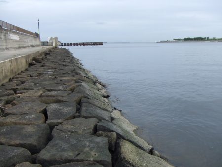 ついばむ様なシーバス58㎝を無理やりゲット