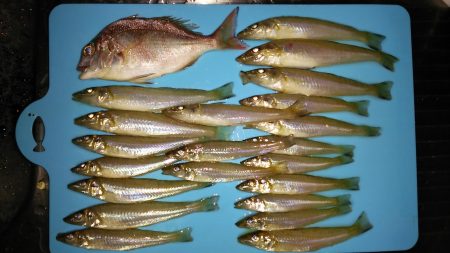 強風の中でのキス釣り