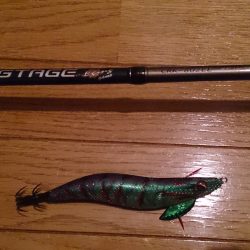 秋イカサイズGet