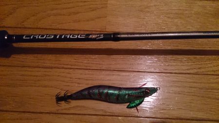 秋イカサイズGet