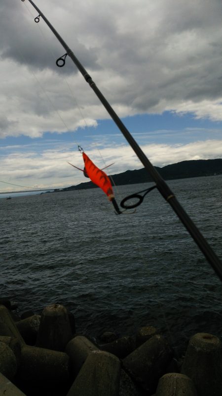 小メバルと遊びました