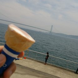 用事帰りにちょっとだけ