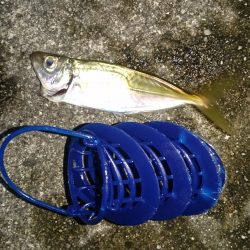 フライが食べたくなって