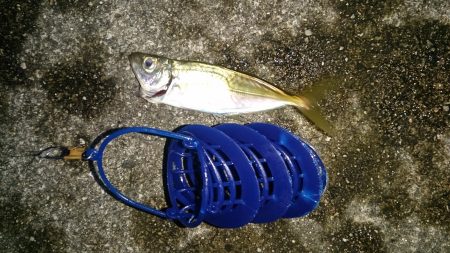 フライが食べたくなって