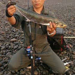 60アップサゴシゲット