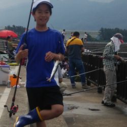 豆アジが沢山釣れました