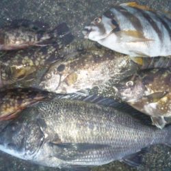 河口にてフカセ釣り