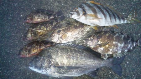 河口にてフカセ釣り