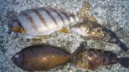 河口にてフカセ釣り