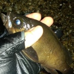 祝！梅雨入り！