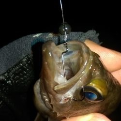 オフセットのススメ