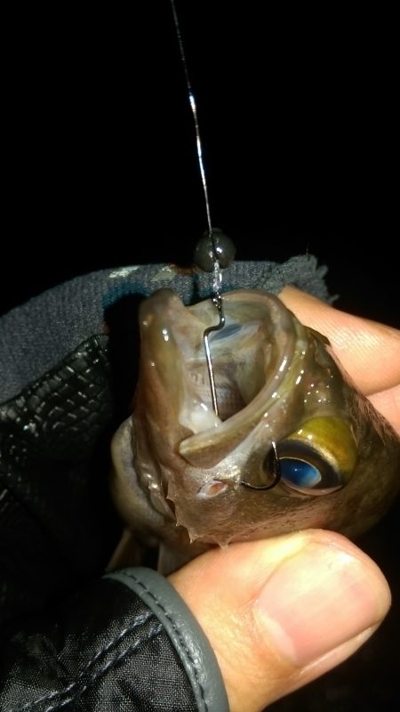 オフセットのススメ