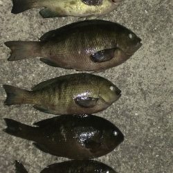 型が不満もまずまず