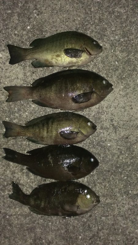 型が不満もまずまず