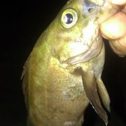 リベンジ成功！のべ竿最高！