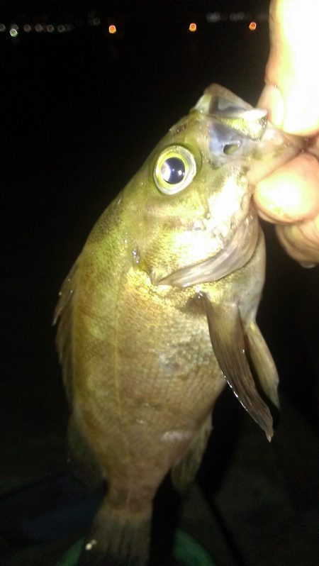 リベンジ成功！のべ竿最高！