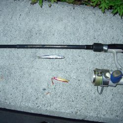 ｼｰｻｲﾄﾞｺｽﾓ