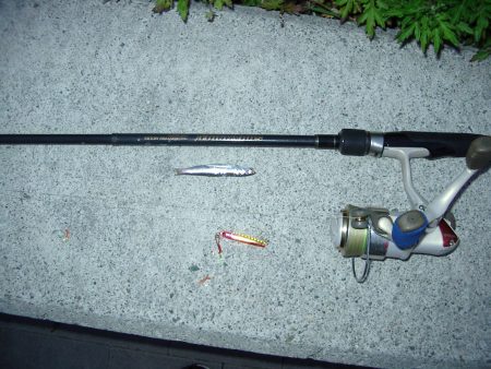 ｼｰｻｲﾄﾞｺｽﾓ