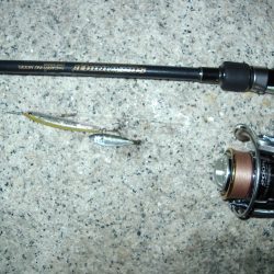 シーサイドコスモ