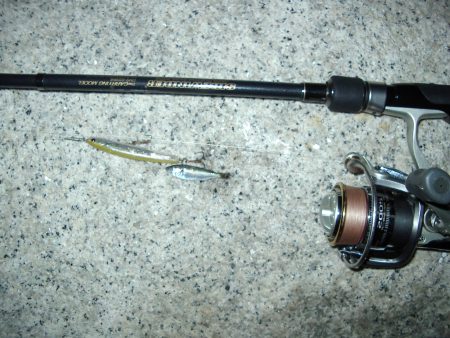 シーサイドコスモ