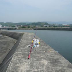 志筑川波止でキス狙い