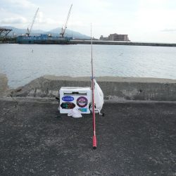 おのころアイランドでピン爆釣