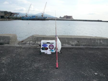 おのころアイランドでピン爆釣