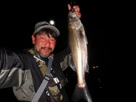 岸壁ＳＬＫ爆釣♪