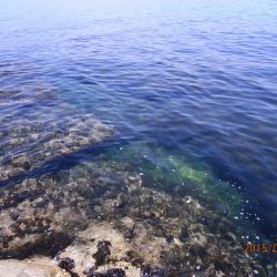 宇宙からの使者